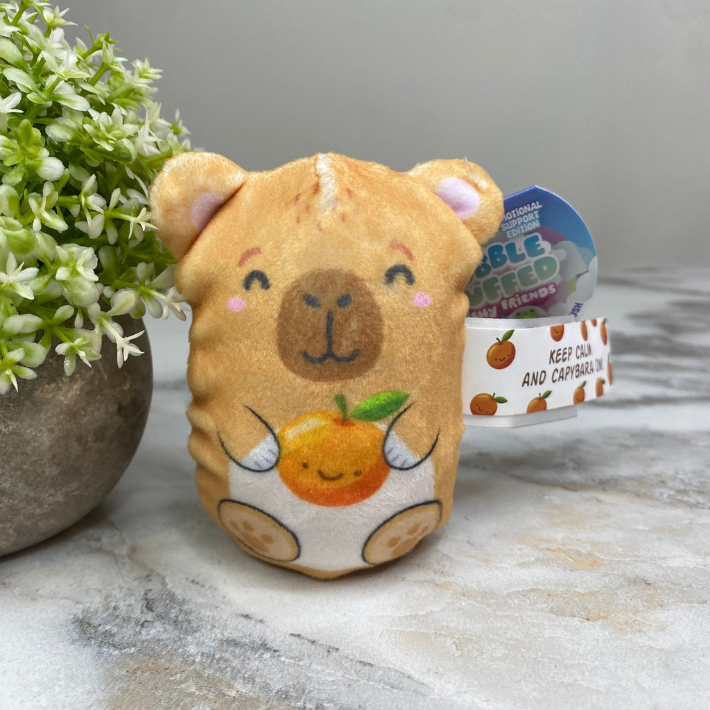 Bubble Stuffed Squishy Friends Toy - Emotional Support Edition